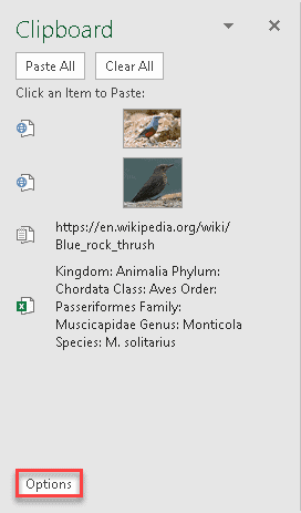 Click the “Options” button on the Clipboard task pane