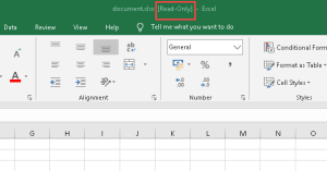 "Read-only" in Excel example