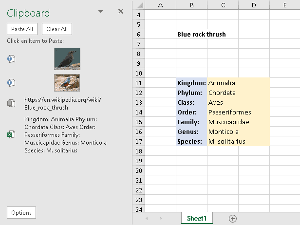 The Office Clipboard in Excel