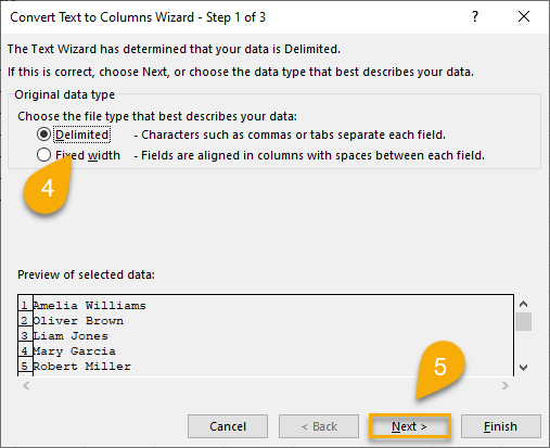 Delimited file type