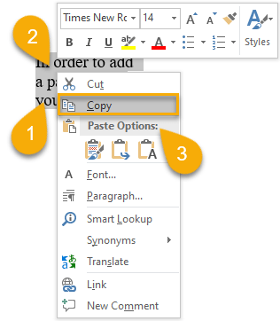 How to Paste Text in Excel from Another Source