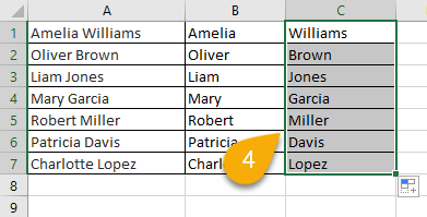 List of the names in Excel