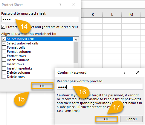 Password in Excel